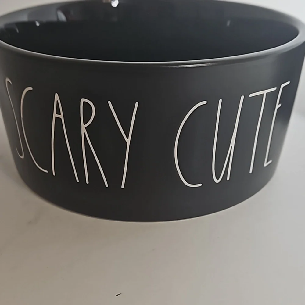 Rae Dunn Artisan Collection Dog Cat Food Water Bowls Set
